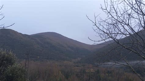 Ecologistas En Acci N Denuncia La Apertura De Una Nueva Pista Forestal