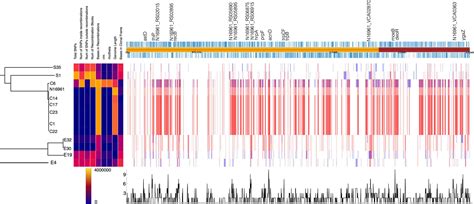 Frontiers Comparative Analysis Of Vibrio Cholerae Isolates From Ghana Reveals Variations In