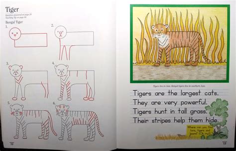 Tiger Lesson Draw Write Now 7 Draw Your World Draw And Write Together