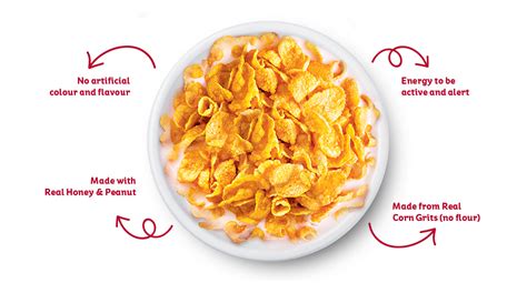 Honey Crunchy Corn Flakes Low Fat Nutty Cereal Kellogg S SG