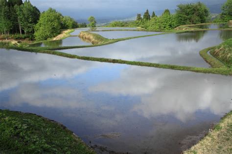 棚田 空を映す（新潟県長岡市比礼） 越後長岡発／建築・風景写真