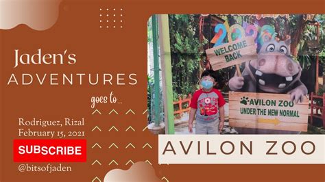 Avilon Zoo 2021 Youtube