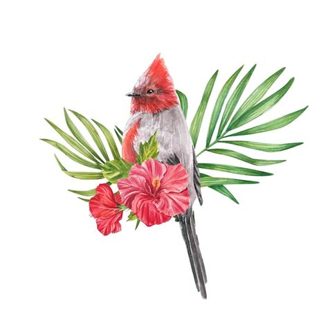 Oiseau Rouge Tropical Avec Fleur D Hibiscus Et Feuilles De Palmier L