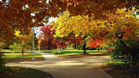 Msu In The Autumn 2015 Michigan State Michigan State University