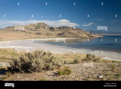 great salt lake antelope island state park utah usa stock photo alamy