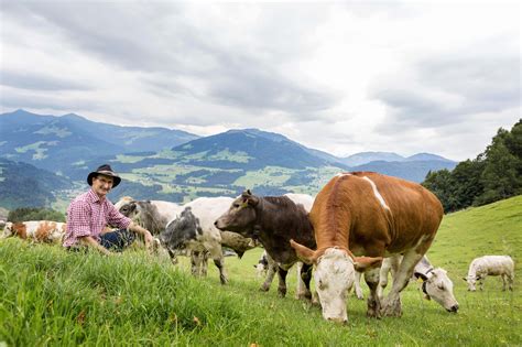 MPreis setzt verstärkt auf Regionalität mnews medianet at