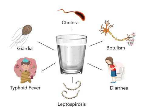 8 Common Water Borne Diseases in India: Treatment & Prevention