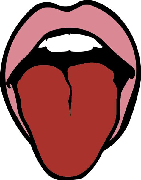 Lips And Tongue Graphic Tongue Clipart Png Download Full Size Clipart 5220132 Pinclipart