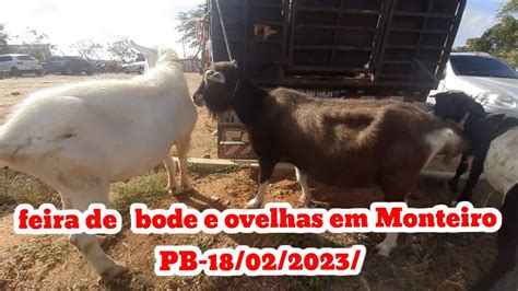 FEIRA DE CAPRINOS E OVINOS EM MONTEIRO PB 18 02 2023 YouTube