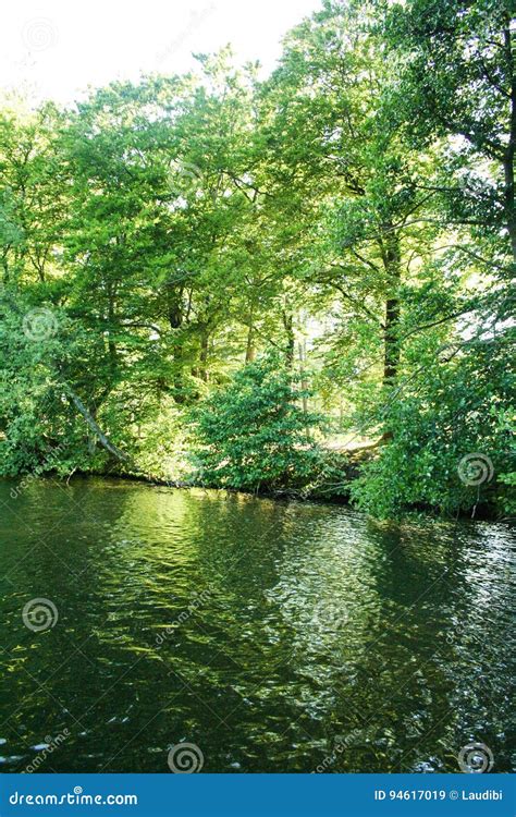 Silkeborg lake stock image. Image of rural, blue, nature - 94617019