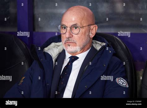 Spain head coach Luis de la Fuente looks on during the UEFA Euro 2024 Qualifying match between ...