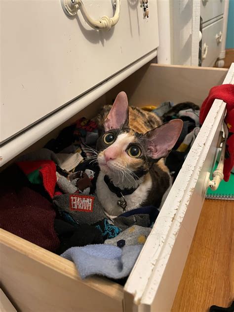 Where The Fuck Is Waldo On Tumblr