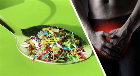 Les Scientifiques Confirment La Pr Sence Des Microplastiques Dans Des