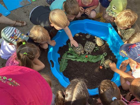 Schildkrötenbesuch Villa Kunterbunt Kindertagesstätte Rees