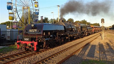 6029 Hunter Valley Steamfest 2023 Transfer 2842023 Youtube