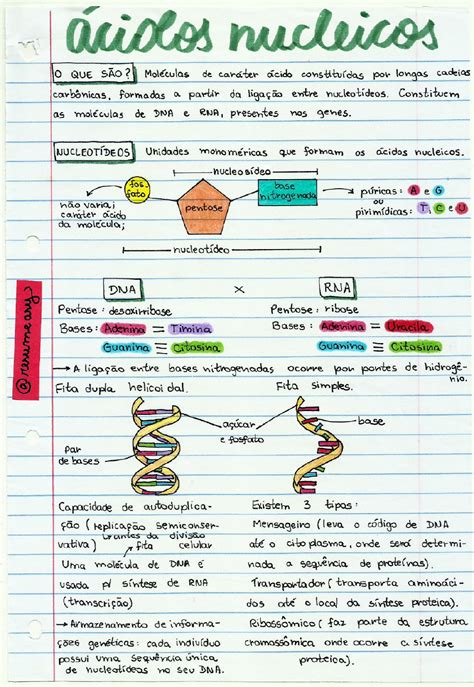 Biologia Molecular Mapa Mental Librain