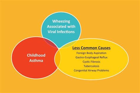 What is wheezing and what are the common causes in children? - Dr ...