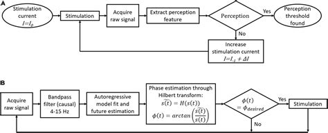 Frontiers Toward A Personalized Closed Loop Stimulation Of The Visual