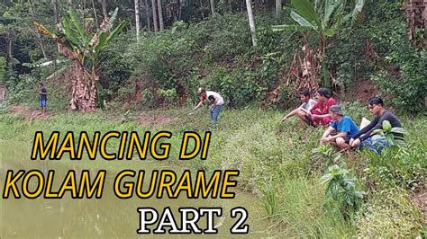 Mancing Lagi Di Kolam Gurame Umpan Cacing Youtube