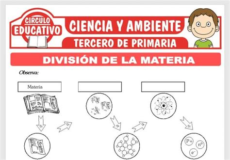 División De La Materia Para Tercero De Primaria Fichas Gratis