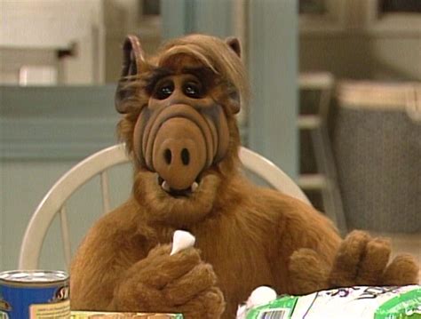 Hooked On A Feeling Alf Wiki Fandom