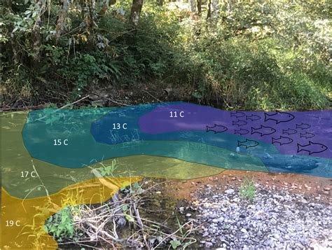 Protecting Thermal Refuges For Coldwater Fish In The Pnw