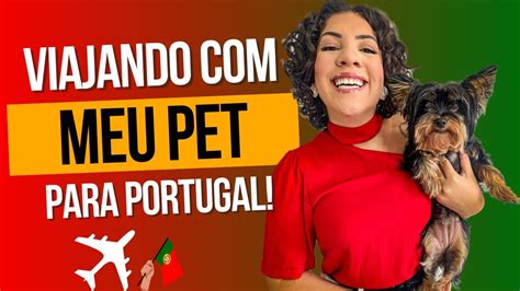 Como Viajar Pet Para Portugal Passo A Passo Como Eu Trouxe Meu