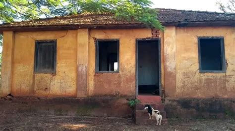 Filho Descobre Que O Pai Estava Comendo As Cachorras Dos Vizinhos Ele