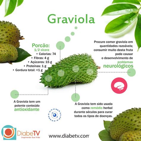 Graviola E Bom Para Que - Frutas que Parecem com Pinha a Graviola – Mundo Ecologia