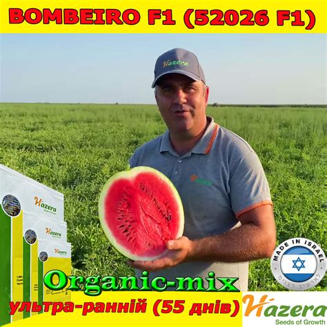 Арбуз ультра-ранний БОМБЕЙРО F1 (52026 F1) , 1000 семян, ТМ Hazera ...