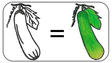 How To Draw A Cucumber Easy Step By Step Vegetable Drawing For Kids