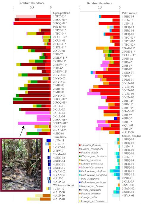 Relative Abundance Of The Most Dominant Species Identified In Each