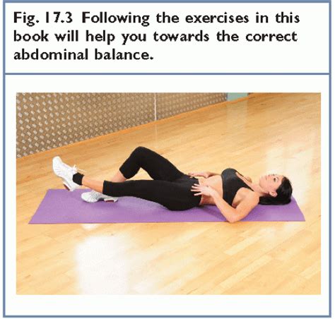 Abdominal Muscle Research | Abdominal Key