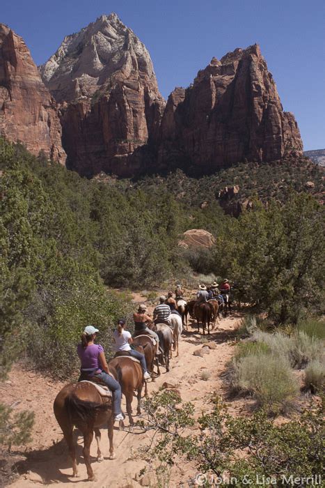 Zion Horseback Riding | Zion Canyon Trail Rides