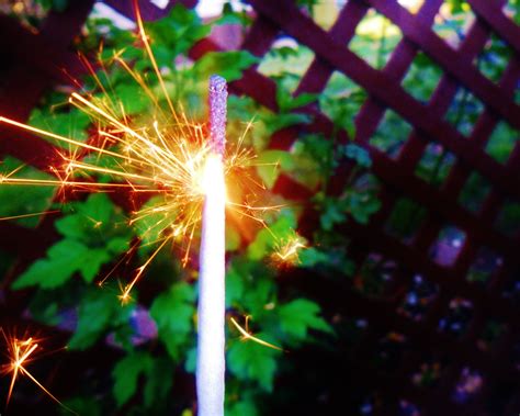 Sparkler, Photography, Color, Light, | Sparklers, Flowers, Plants