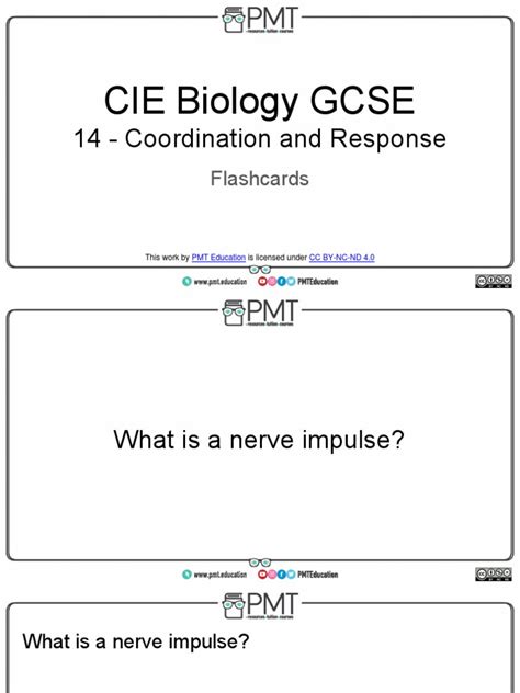 Flashcards Topic 14 Coordination And Response Pdf Nervous System