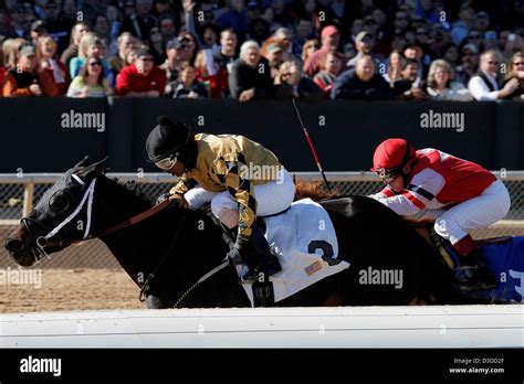 Feb 16 2013 Hot Springs Arkansas U S Calvin Borel With His 5000th Win Aboard Conte Feb
