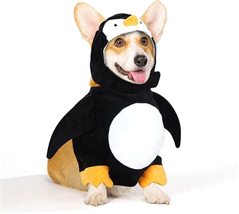 10 Funny Pet Halloween Costumes