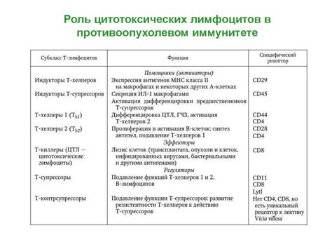 Канцерогенез и иммунная система - online presentation