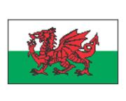 Wales Flag Tattoo – Tattoo for a week