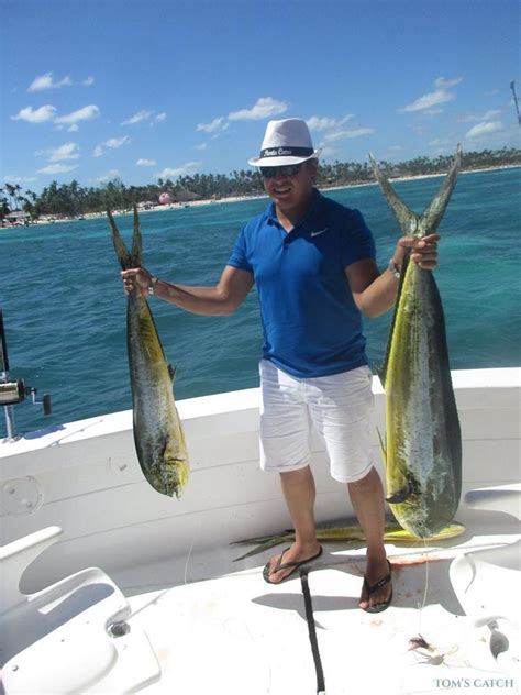 Punta Cana fishing trips with Charter Julyvette (2020 prices) - Tom's Catch