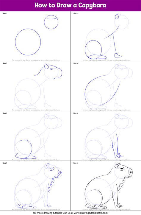 How To Draw A Capybara Easy Step By Step Free Word Template