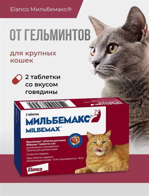 Мильбемакс от гельминтов для кошек, 2 табл. 16/40 мг купить на OZON по ...