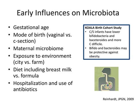 Gut Microbiome Obesity Nafld PPT