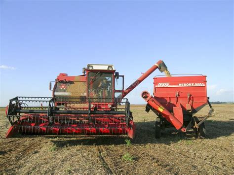 Harvest Soybean Editorial Stock Image Image Of Heavy 46652619