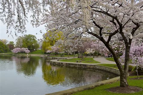 University Circle, Cleveland Oh | University circle, Beautiful sites, Cleveland