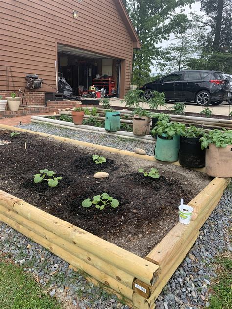 My garden is growing so fast | Scrolller