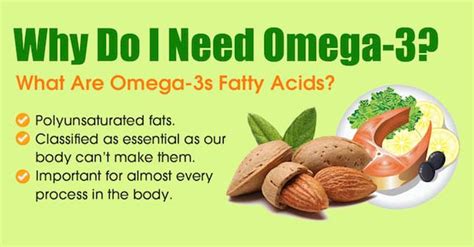 The 3 Most Important Omega-3 Fatty Acids [Infographic]