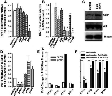 57704 Reactivates Latent Hiv 1 Via The Pi3kakt Signaling Pathway A