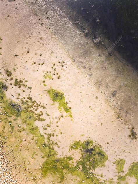 Aerial view of Frisian Islands, The Netherlands - Stock Image - F040 ...